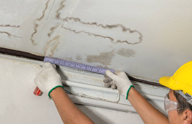 Reliable Flood Cleanup contractor in Orange, NJ by Water Damage Irwin